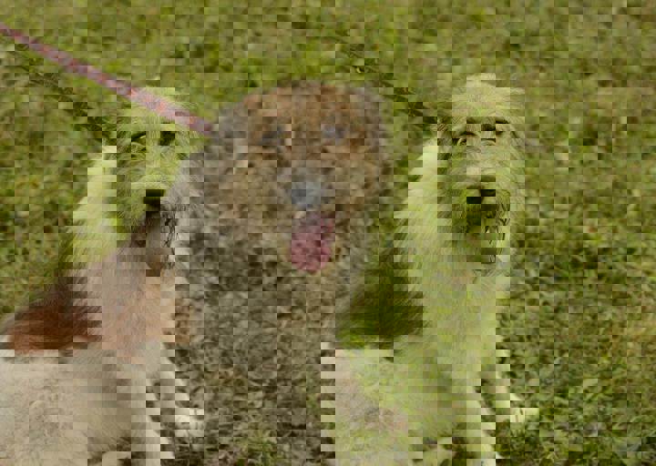 careday_094.jpg
