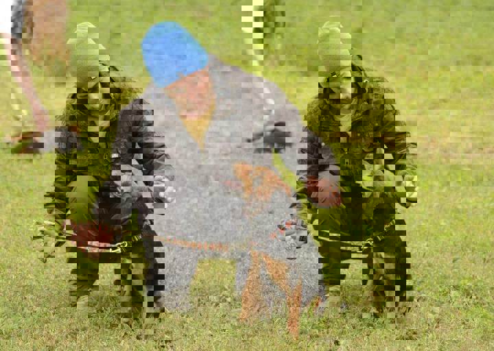 careday_096.jpg