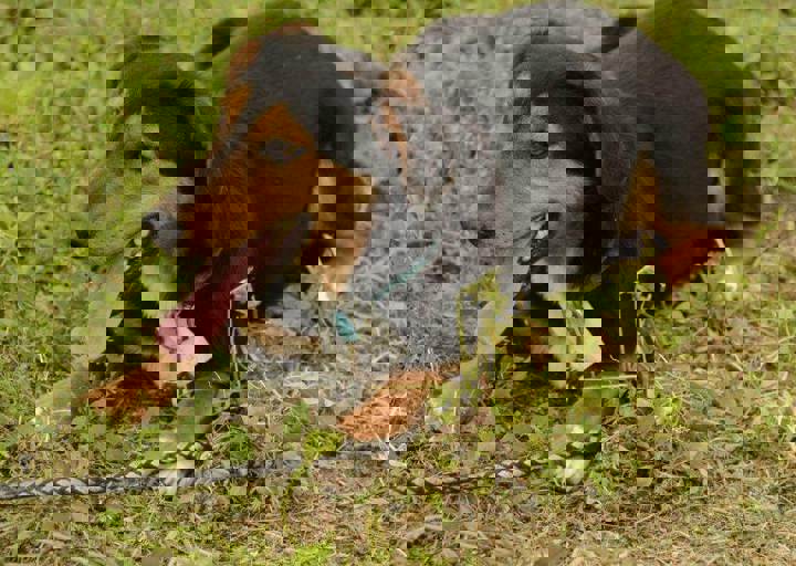 careday_097.jpg