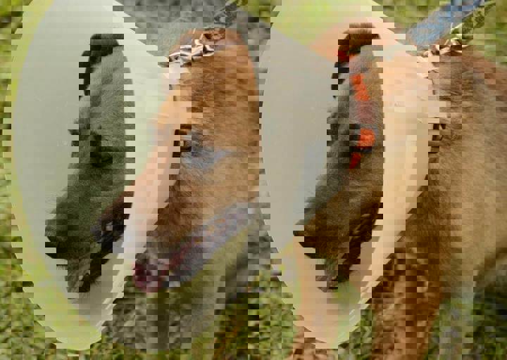 careday_103.jpg