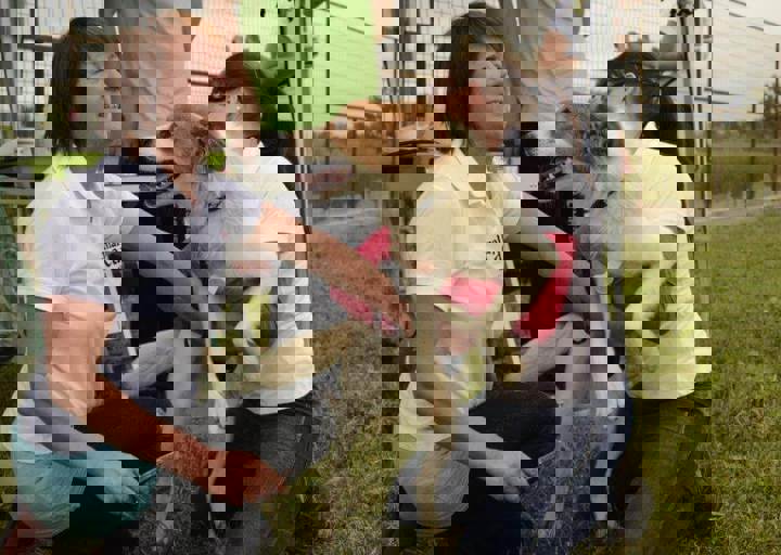 careday_107.jpg
