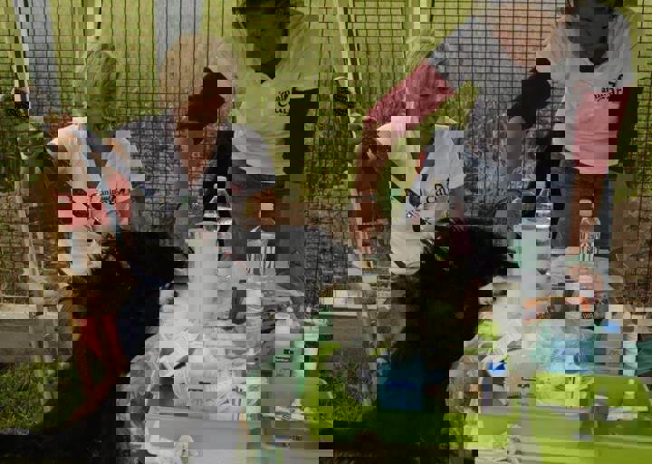 careday_108.jpg