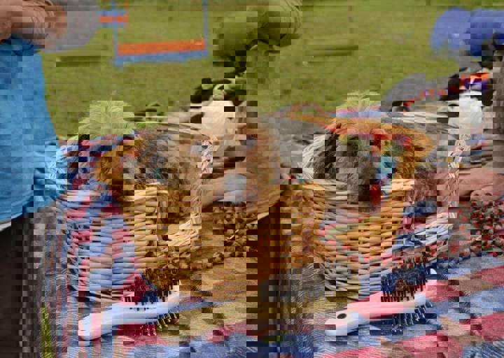 careday_111.jpg
