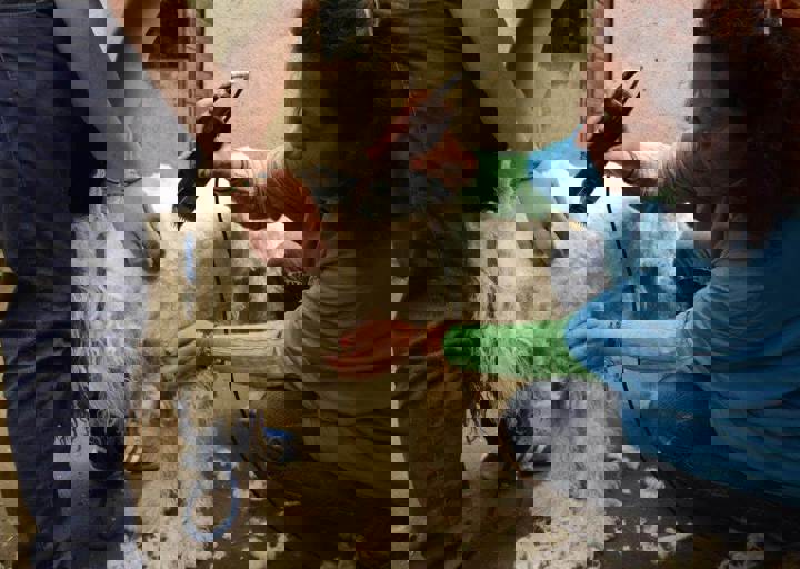 careday_117.jpg