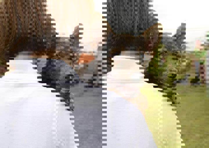 careday_121.jpg