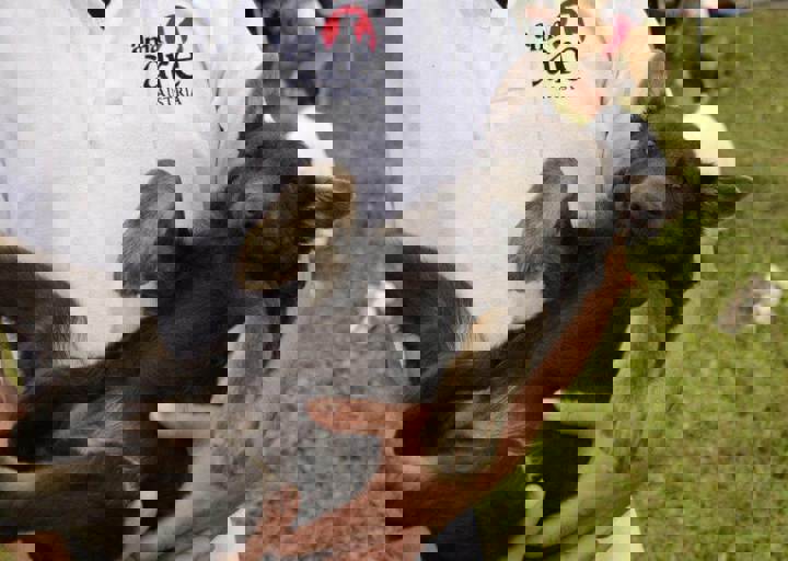 careday_122.jpg