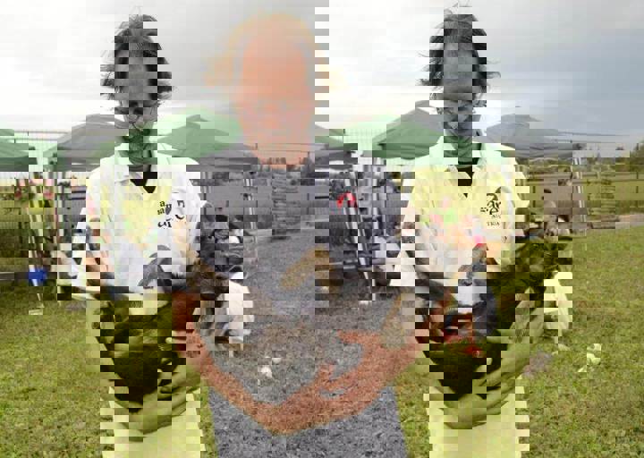 careday_123.jpg