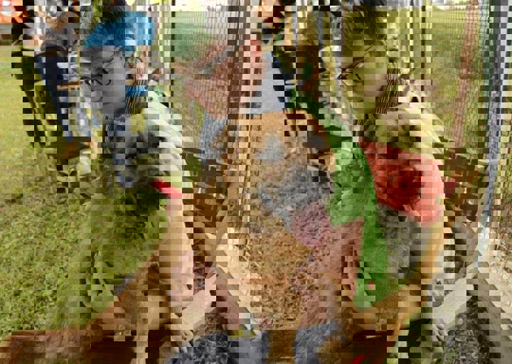 careday_124.jpg