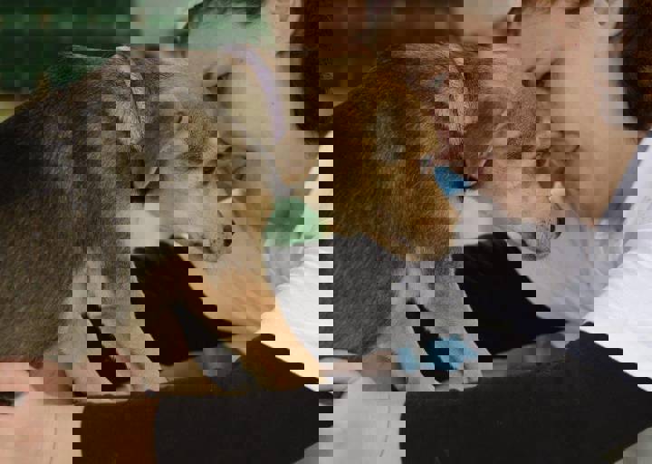 careday_138.jpg