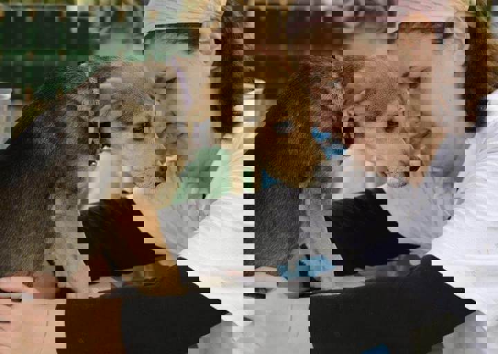 careday_140.jpg