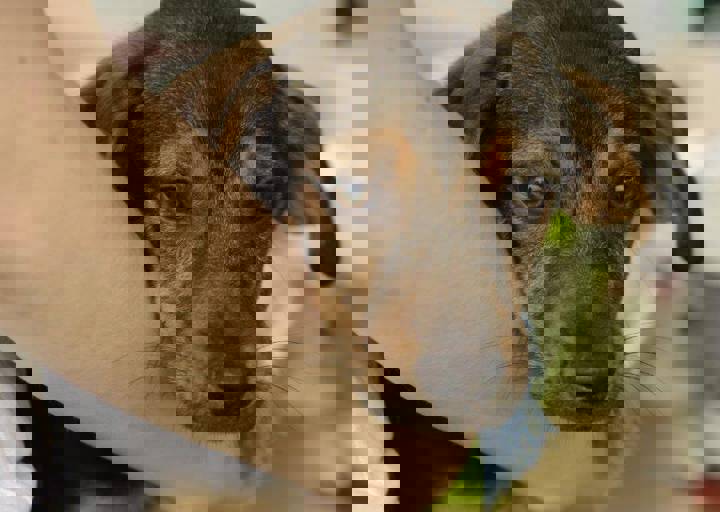 careday_142.jpg