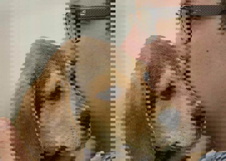 careday_146.jpg