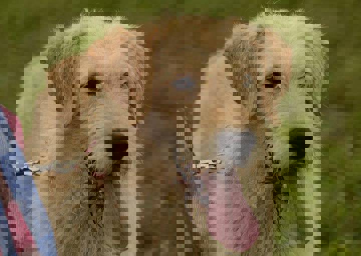 careday_147.jpg