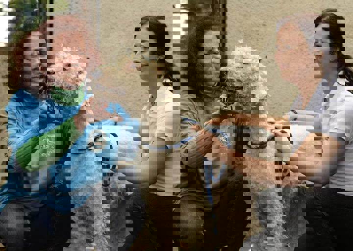 careday_151.jpg