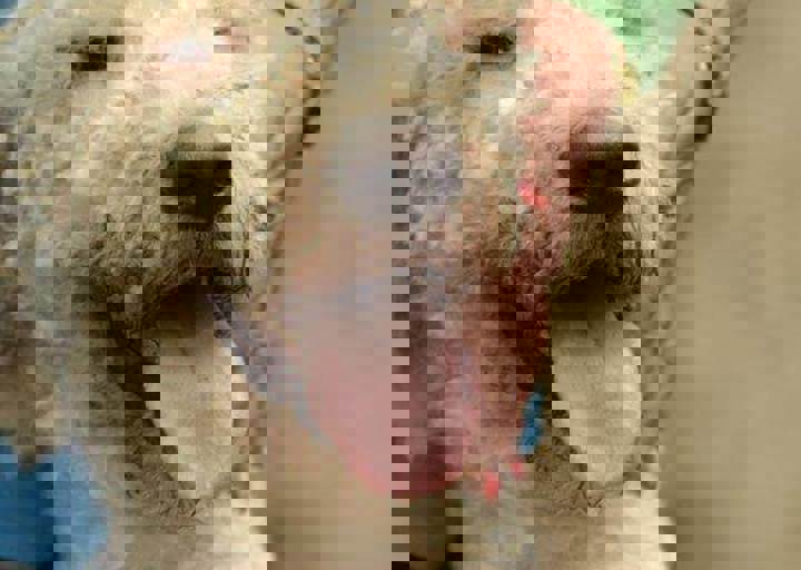 careday_153.jpg