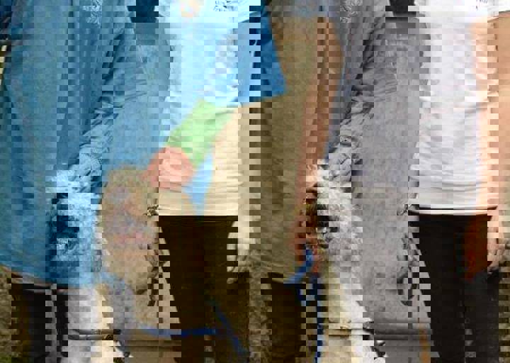 careday_154.jpg