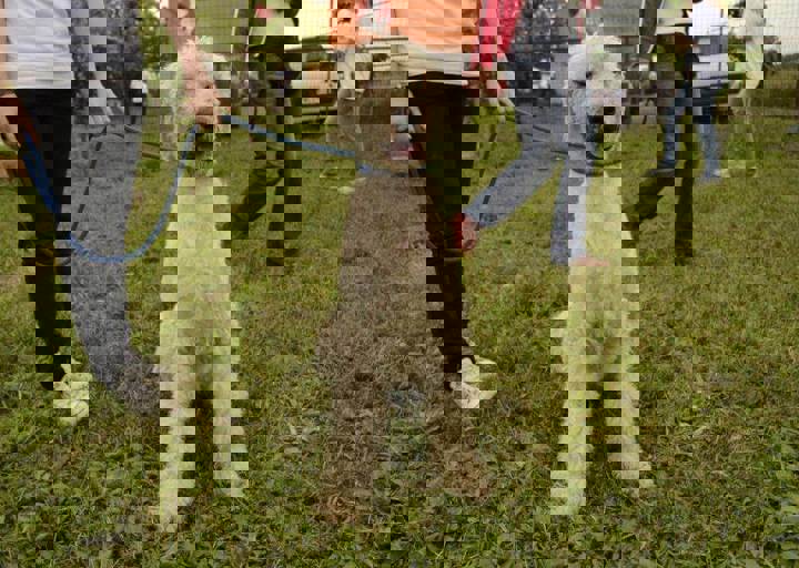 careday_156.jpg