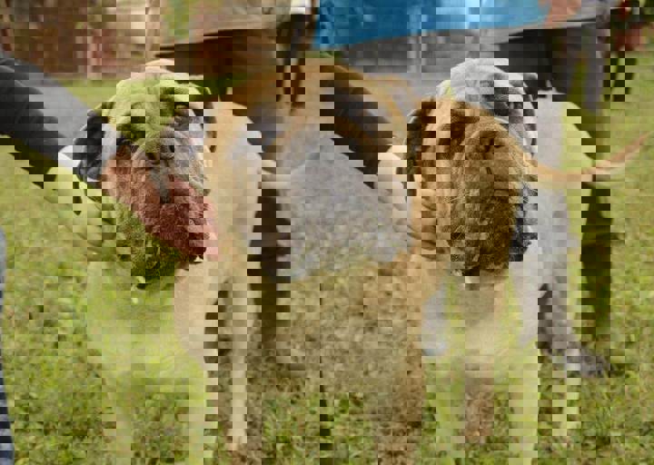 careday_157.jpg