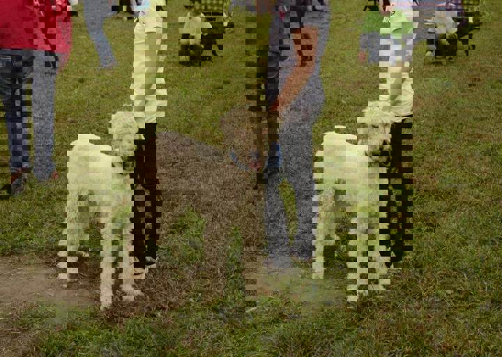 careday_161.jpg