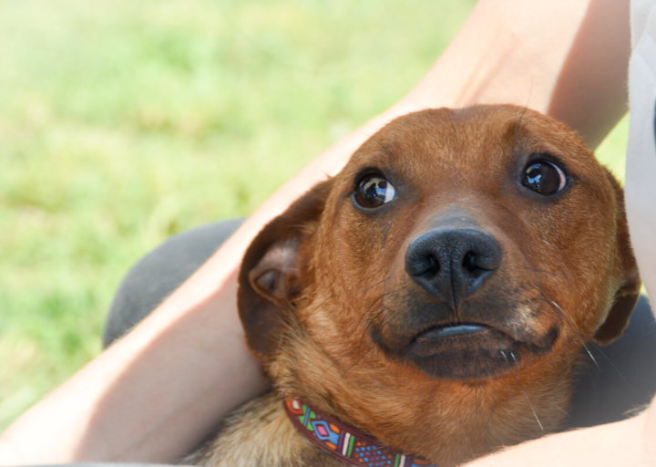 Bernie_DSH_2511.jpg