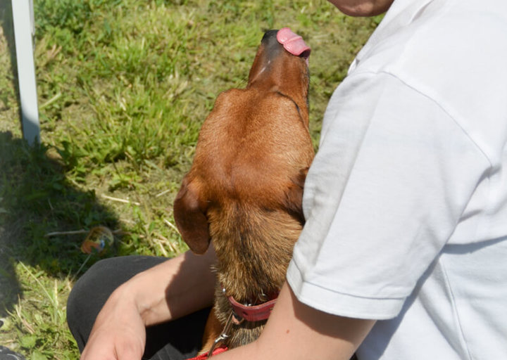 Bernie_DSH_2527.jpg