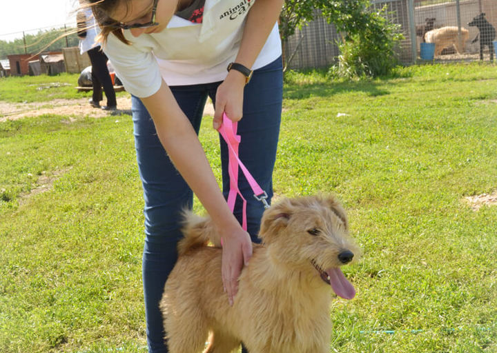 DSH_2868.jpg