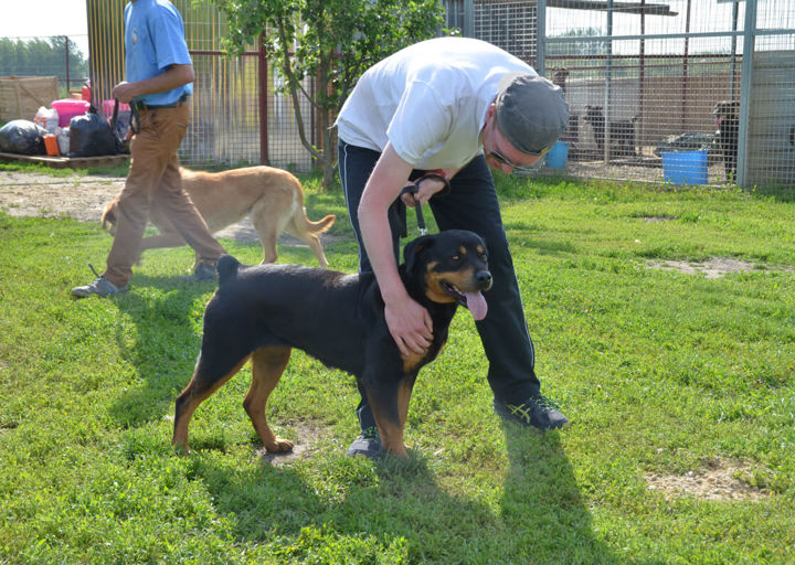 Maya_DSH_3549.jpg