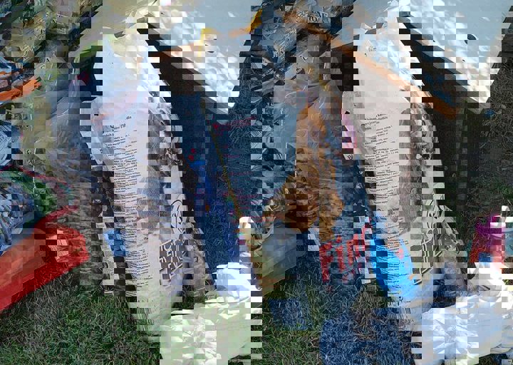 16_08070004.JPG
