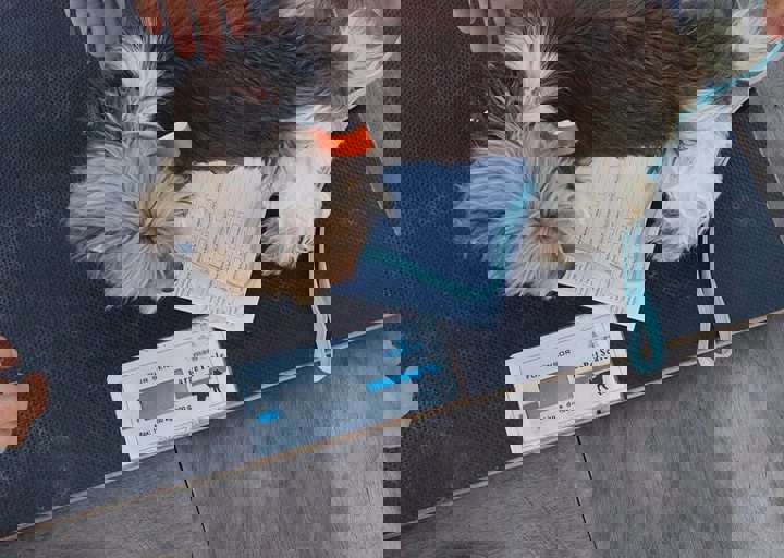16_08070005.JPG