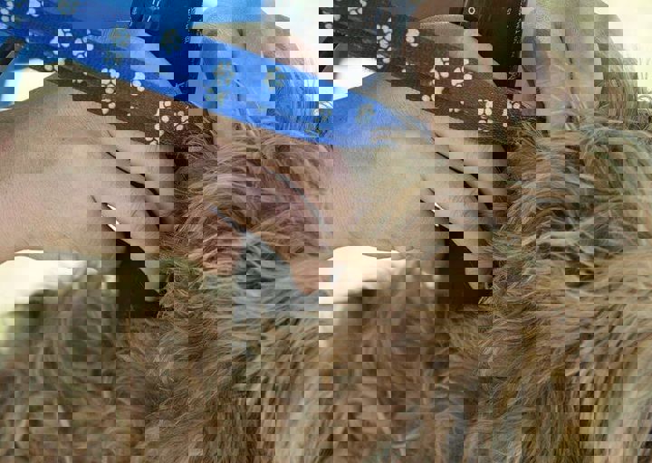 16_08070009.JPG
