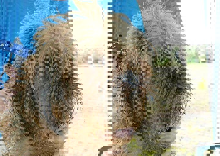 16_08070011.JPG