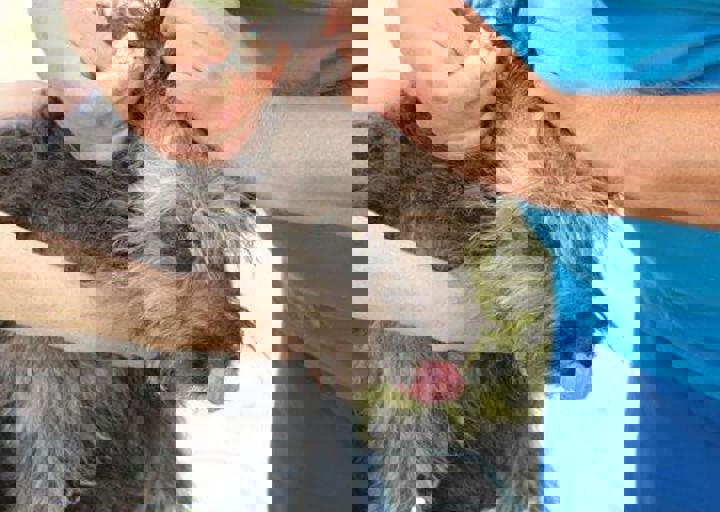 16_08070062.JPG