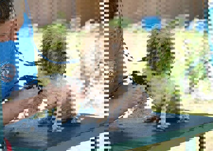 16_08070068.JPG