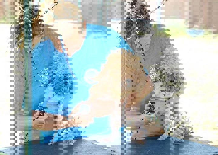 16_08070069.JPG
