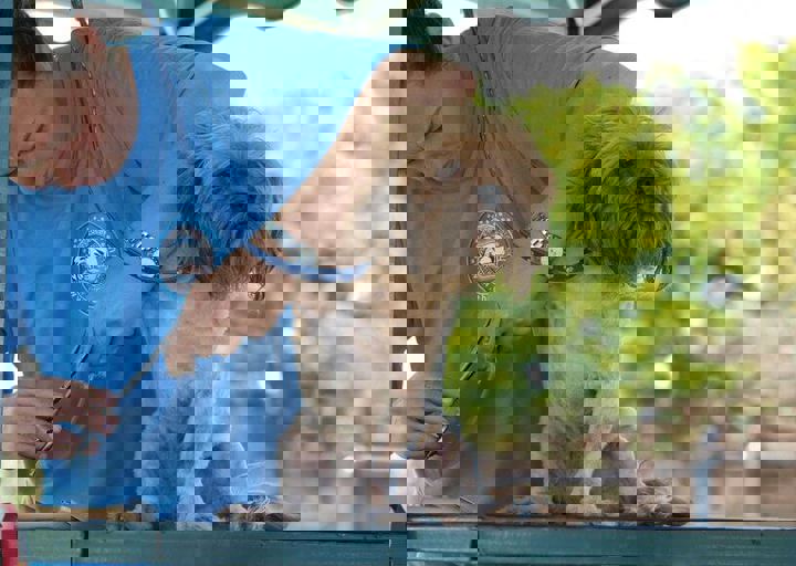 16_08070071.JPG