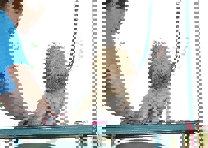 16_08070079.JPG