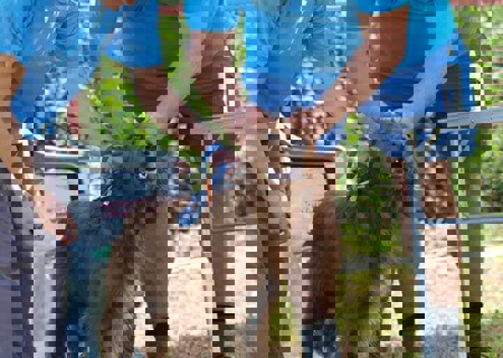 16_08070093.JPG