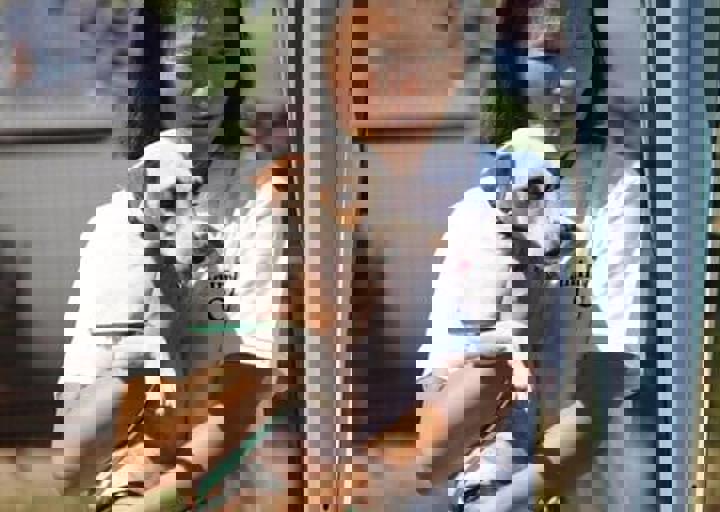 16_08070116.JPG