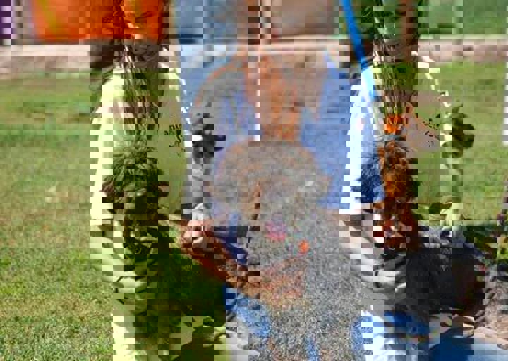 16_08070124.JPG