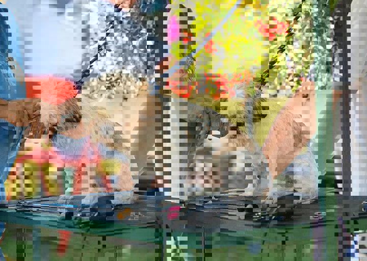 16_08070129.JPG