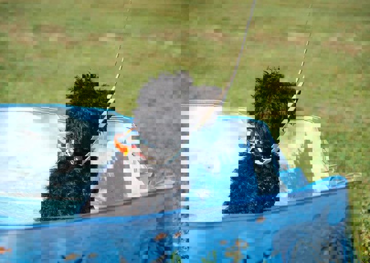 16_08070130.JPG