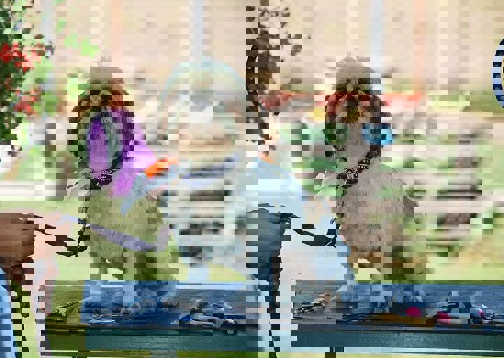 16_08070131.JPG