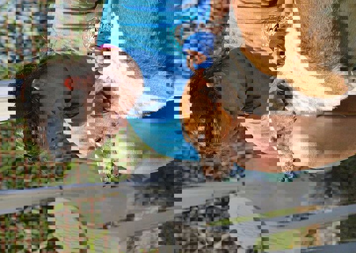 16_08070153.JPG