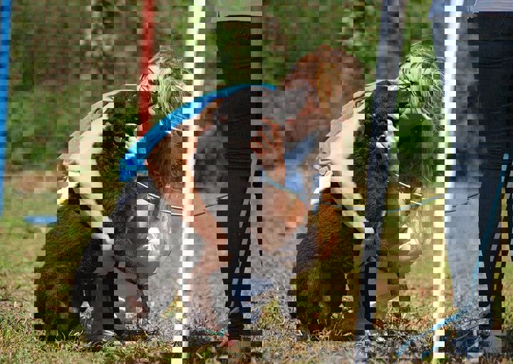 16_08070160.JPG