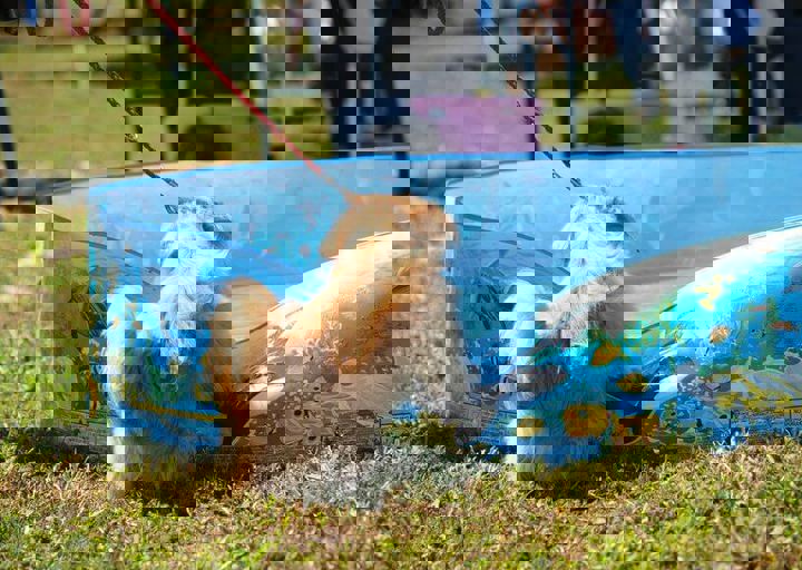 16_08070168.JPG