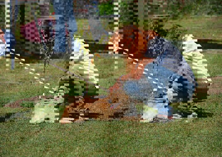 16_08070169.JPG