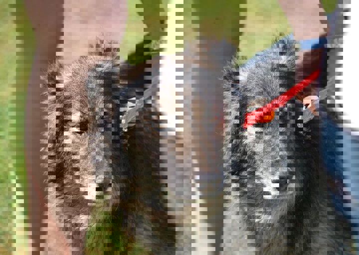 16_08070170.JPG