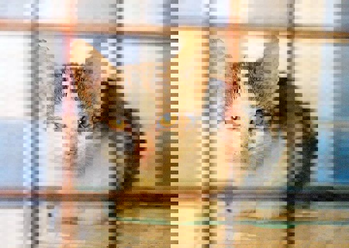 16_08070188.JPG