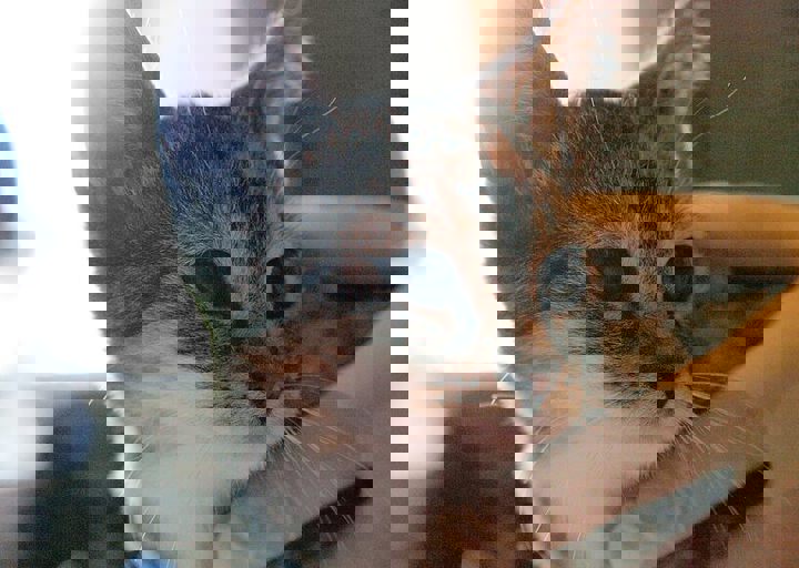 16_08070190.JPG
