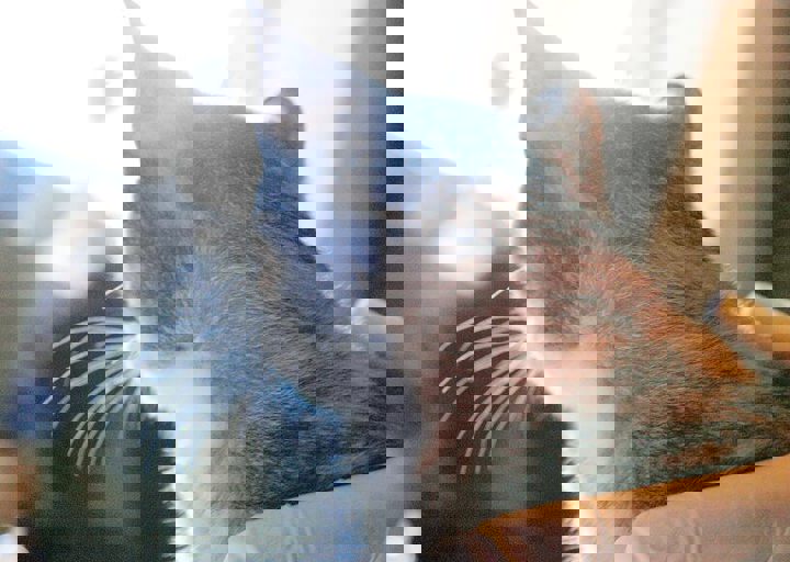 16_08070191.JPG